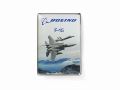 【Boeing Endeavors】 ボーイング F-15 ピン