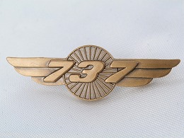 【Boeing 737 Wings Pin】 ボーイング ７３７ ウイング ピン