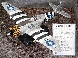 P-47　サンダーボルト(THUNDERBOLT)（1：48）