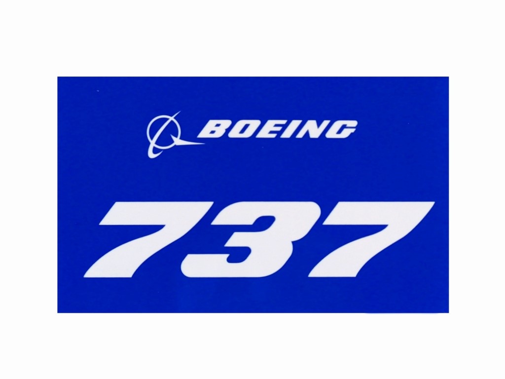 ボーイング 737 ブルーステッカー