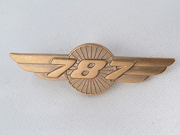 【Boeing 787 Dreamliner Wings Pin】 ボーイング ７８７ ウイング ピン