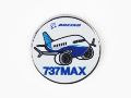 【Boeing 737 MAX Pudgy Pin】 ボーイング ７３７ ピン